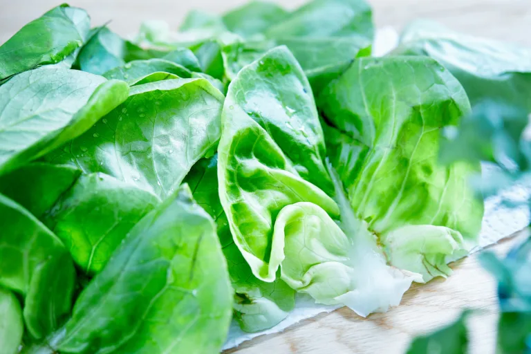 How to Keep Leafy Greens Fresh: Tips and Tricks