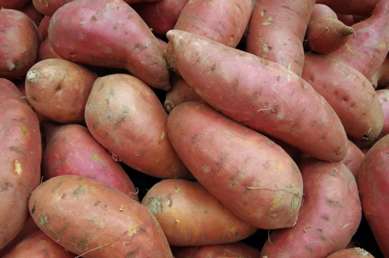 Delightful Sweet Potato Gnocchi: A Twist on Italian Classic