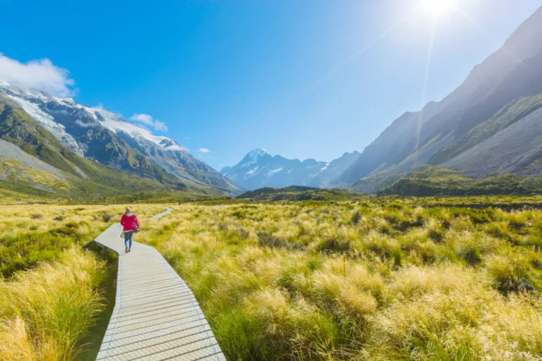 Reasons to Visit New Zealand and What You Should Know