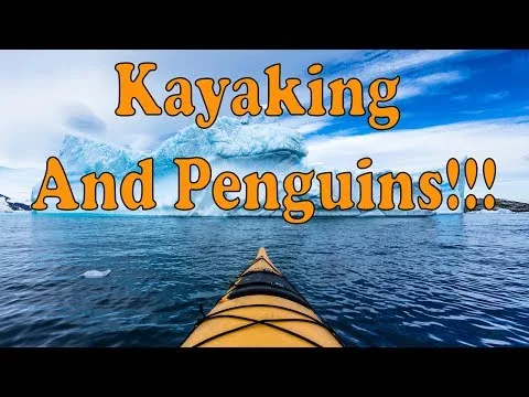 A Complete Guide to Sea Kayaking in Antarctica
