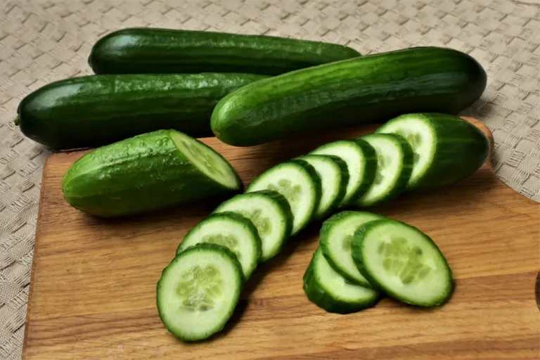 Exploring the Health Benefits of Cucumbers