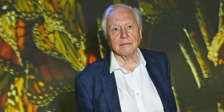 David Attenborough Criticizes AI Version of Himself That Went Viral