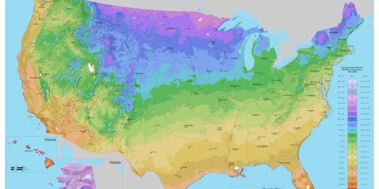 The USDA Updates Plant Hardiness Zone Map, Allowing for New Gardening Opportunities