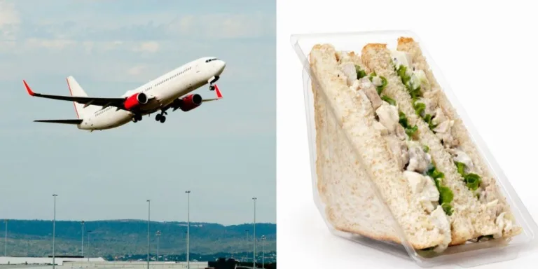 Passenger Fined $1,995 for Bringing Chicken Sandwich into Australia