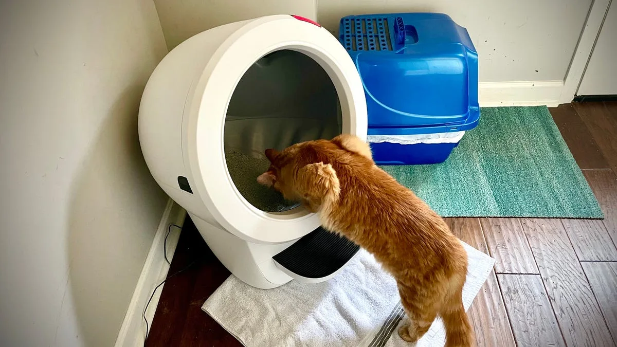 Upgrade Your Cat's Bathroom Experience with the Litter-Robot Cyber Week Deal