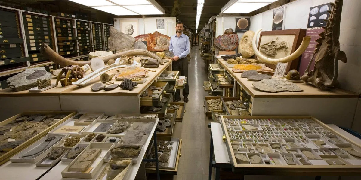 The Smithsonian's Controversial Brain Collection: Unearthing a Dark Chapter in History