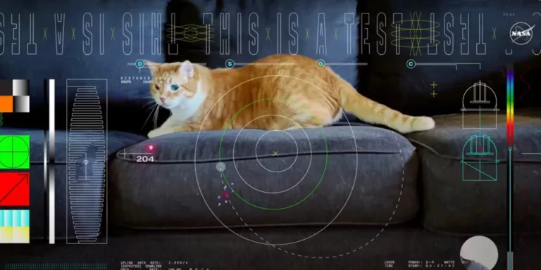 NASA’s Groundbreaking Cat Video: A Leap in Deep Space Communication
